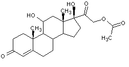 醋酸氢化可的松